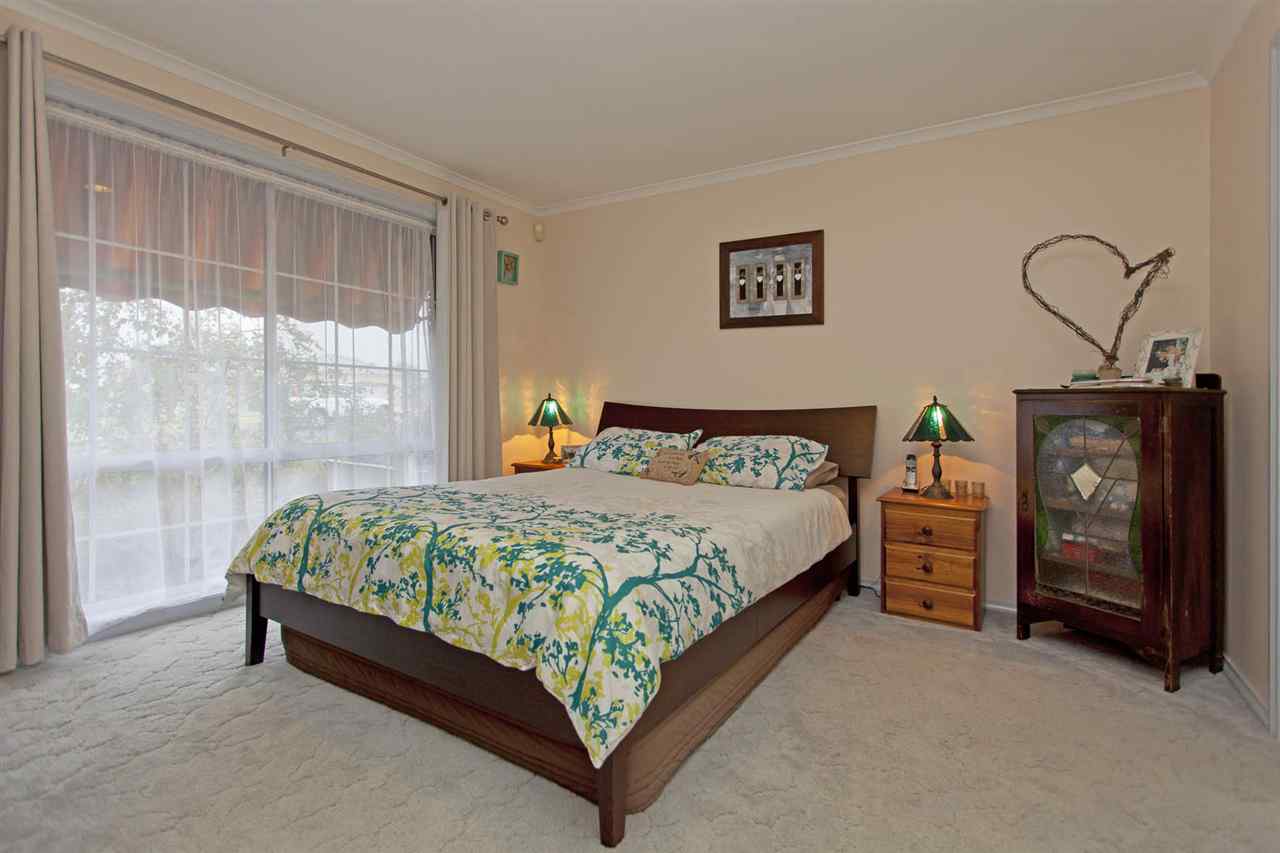 resized-2349823-edit11 kingfisher 9.JPG